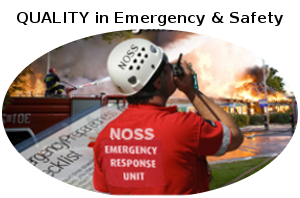 Master in Emergency Safety icon